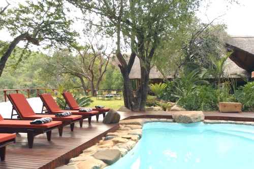 AmaKhosi Safari Lodge pool2
